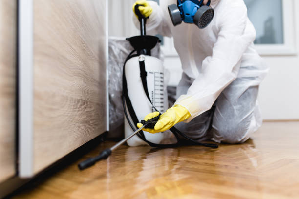 Best Ant Control Services  in Reedsburg, WI