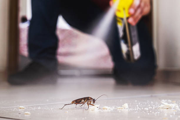 Best Residential Pest Control  in Reedsburg, WI