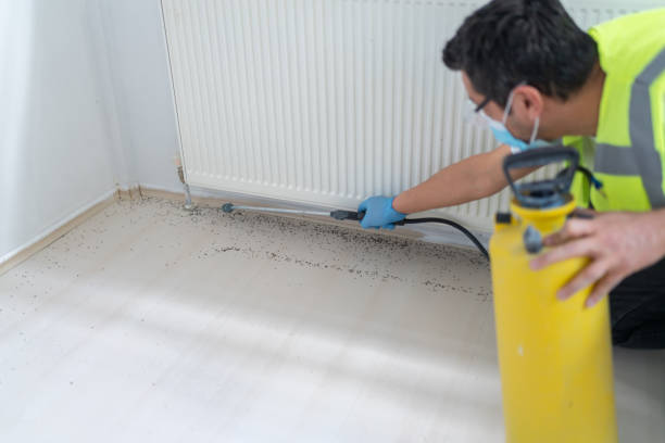 Professional Pest Control in Reedsburg, WI